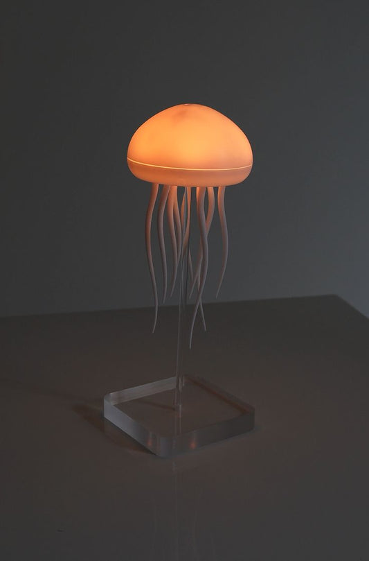 Jellyfish Magic Lamp