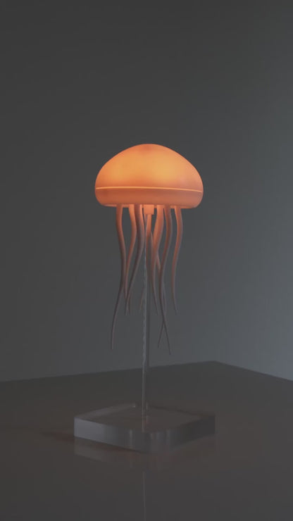 Jellyfish Magic Lamp